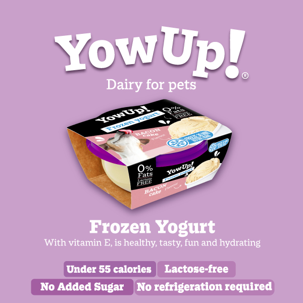 Freeze Dried Yoghurt